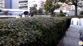 召唤恶魔的等价肉换 完成我的愿望吧